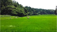 NTTイードローン、ドローンなど活用し千葉県長柄町の一斉防除のとりまとめ業務を40％効率化