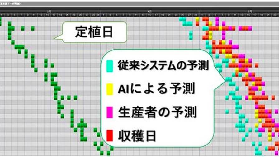 日立ソリューションズ東日本、「AIを活用したレタスの生育予測システム」をトップリバー農場において本格運用開始