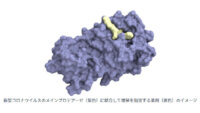 PFNと京都薬科大学、医薬品開発の初期工程を高速化するAI創薬技術を開発