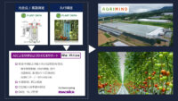 PLANT DATA・アグリマインド・マクニカ、植物の生体データとAIを用いた収量予測やコスト最適化を行う実証実験を開始