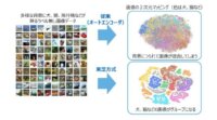 東芝、教師なしで画像の特徴を学習してグループ化する画像分類AIを開発