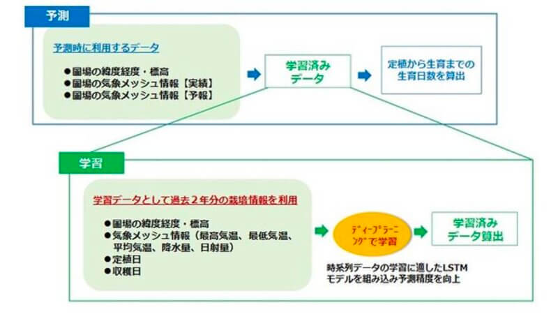 日立ソリューションズ東日本、「AIを活用したレタスの生育予測システム」をトップリバー農場において本格運用開始