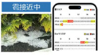 損害保険ジャパンとウェザーニューズ、ひょうなどによる被害軽減に向けた実証実験を開始