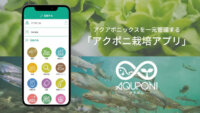 アクポニ、アクアポニックスの生産管理をIoTで効率化する「アクポニ栽培アプリ」を提供開始