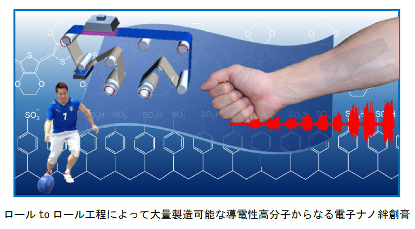 早大、筋肉の活動を計測する電子ナノ絆創膏を開発