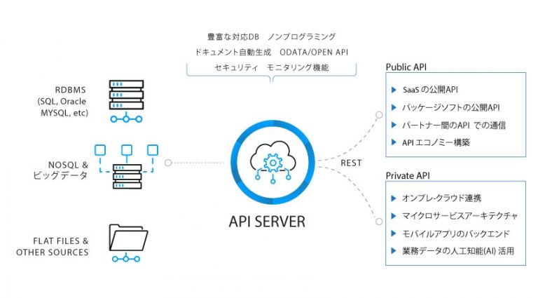 CData Software Japan、API開発・運用基盤「CData API Server」を製品版リリース | IoTNEWS AI+