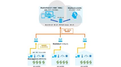 スカイディスク、 IoT技術とAI解析で農作物の高品質・高収量生産や省力化を目指す