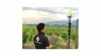 PSソリューションズ、農業IoTソリューション「e-kakashi」を、サッポロビール株式会社のぶどう園に導入