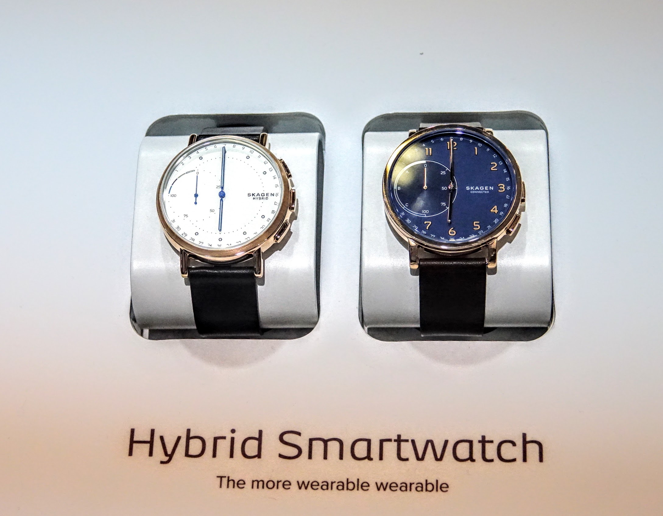 IFA2017 Fossil