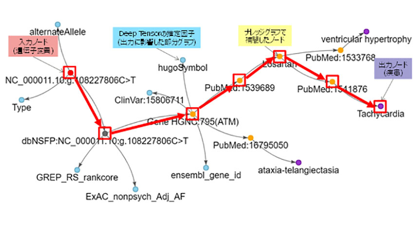 富士通研究所と富士通、Deep Tensorとナレッジグラフの融合でAIの推定理由や根拠を説明する技術を開発