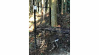 LPWAで野生獣の捕獲通知、フォレストシーと岐阜大学