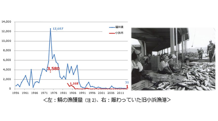 小浜市・クラウド漁業・KDDI、鯖の養殖効率化にIoTを活用するプロジェクトを開始