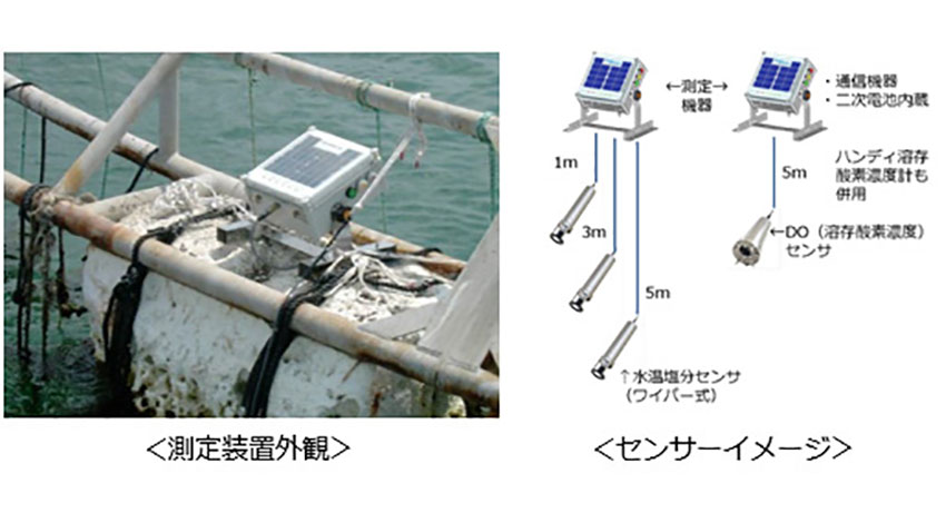 小浜市・クラウド漁業・KDDI、鯖の養殖効率化にIoTを活用するプロジェクトを開始