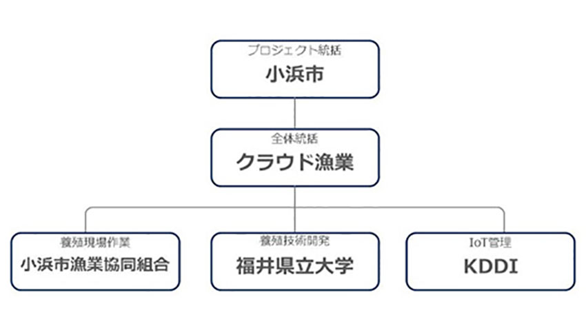 小浜市・クラウド漁業・KDDI、鯖の養殖効率化にIoTを活用するプロジェクトを開始