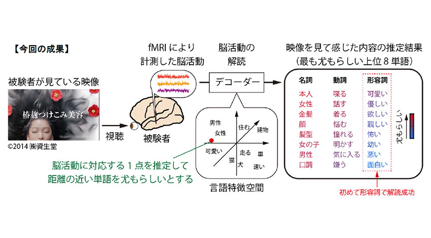 NICT、CMなどの映像を見て感じたことを脳活動から言語化する「脳情報デコーディング技術」を開発