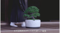 盆栽xテクノロジー、TDKが「BonsAI（ボンスエーアイ）」を公開