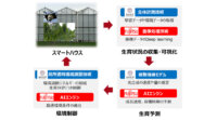 九州大学と富士通、AIを活用した農業生産の共同研究を開始
