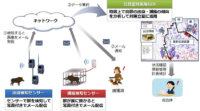 NTT西日本と日立、長崎県五島市にIoTを活用した鳥獣害対策システムを導入