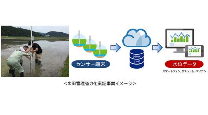 KDDI、「豊岡市スマート農業プロジェクト」を開始