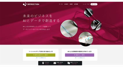 データセクション、ドローン×AIによる自動交通量調査サービスの提供を開始