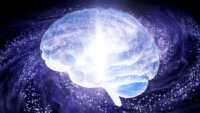 「AI」の活用の実態と、未来をよむ