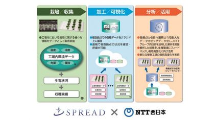 スプレッドとNTT西日本、IoTとAIを活用した「人工光型植物工場」の共同実験を開始