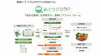 セラクの農業IoTサービス「みどりクラウド」、ビッグデータとAIによる農業データ分析サービスを開始