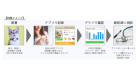 日本動物高度医療センター、ペット向けIoT健康管理ツール「プラスサイクル」発売