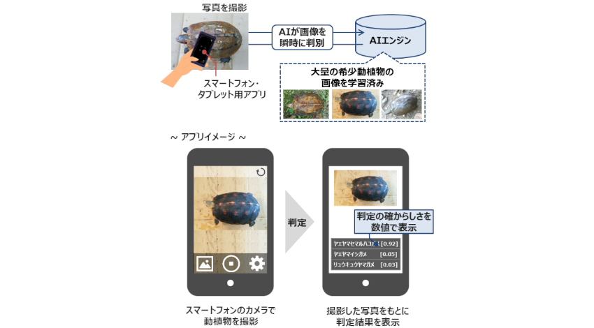 環境省とドコモ、画像認識AIを活用した希少野生動植物の密猟・密輸対策に向けた実証実験を開始