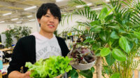こゆ財団、AIやIoTを活用した観光農園プロジェクトを始動