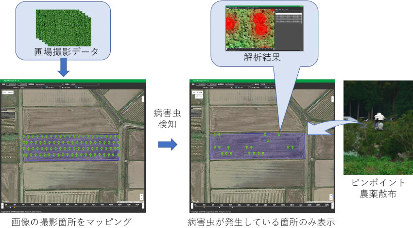 オプティム、兵庫県丹波地域でAIやドローン活用のスマート農業による特産物の生産力強化