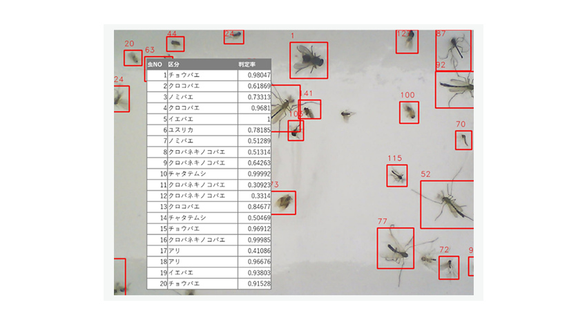 イカリ消毒、YE DIGITALのAI画像判定サービス活用で虫の分類識別を自動化