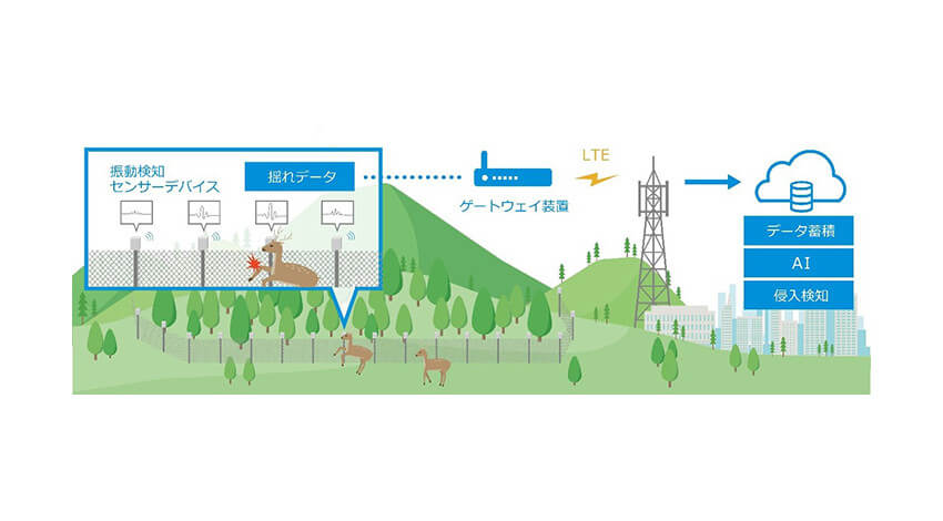 常葉大学・国土緑化推進機構・KDDIなど、IoTを活用した森林管理効率化に関する実証実験を開始