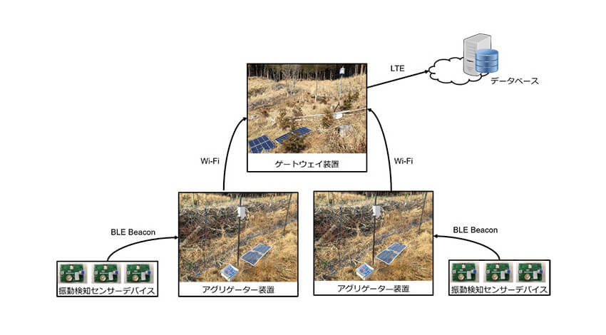 常葉大学・国土緑化推進機構・KDDIなど、IoTを活用した森林管理効率化に関する実証実験を開始