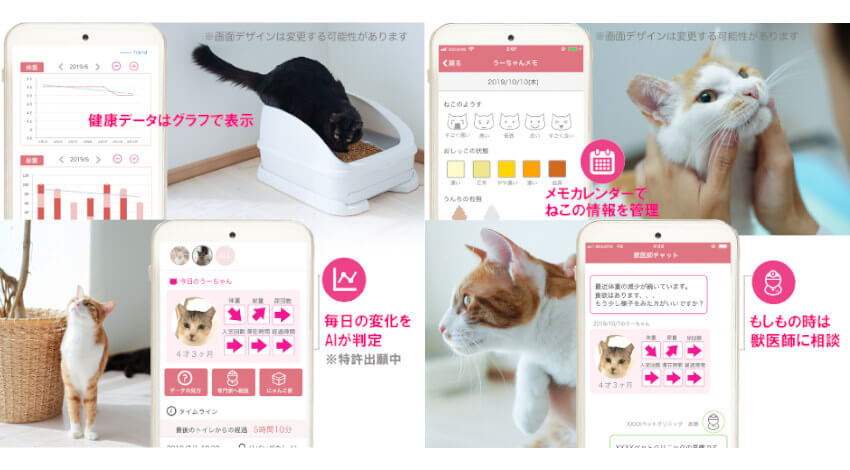 ハチたまのスマートねこトイレ「toletta」、ねこを識別する動画AIや尿測定などの新機能追加