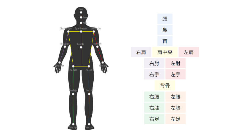 ネクストシステム、カメラ1つで人間の骨格を3D解析するAI骨格検出システム「VisionPose Single3D」を発売