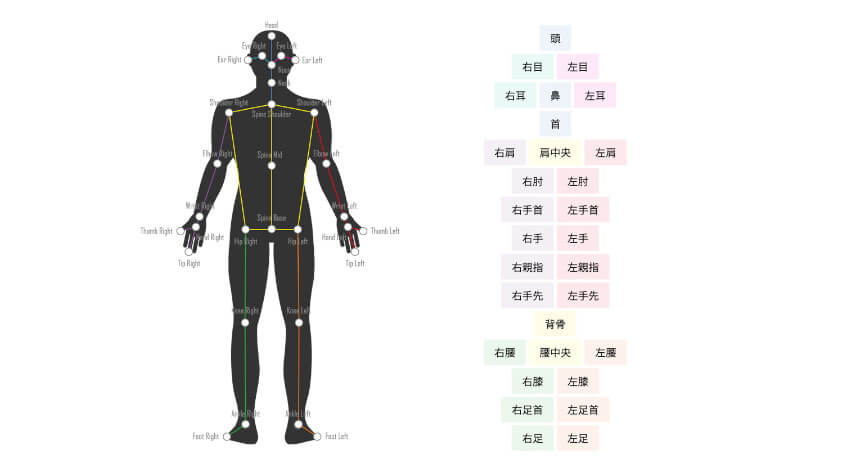 ネクストシステム、カメラ1つで人間の骨格を3D解析するAI骨格検出システム「VisionPose Single3D」を発売