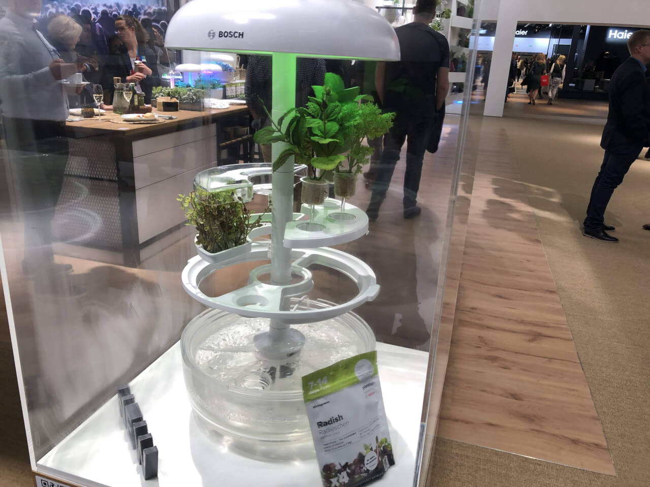 IFA2019