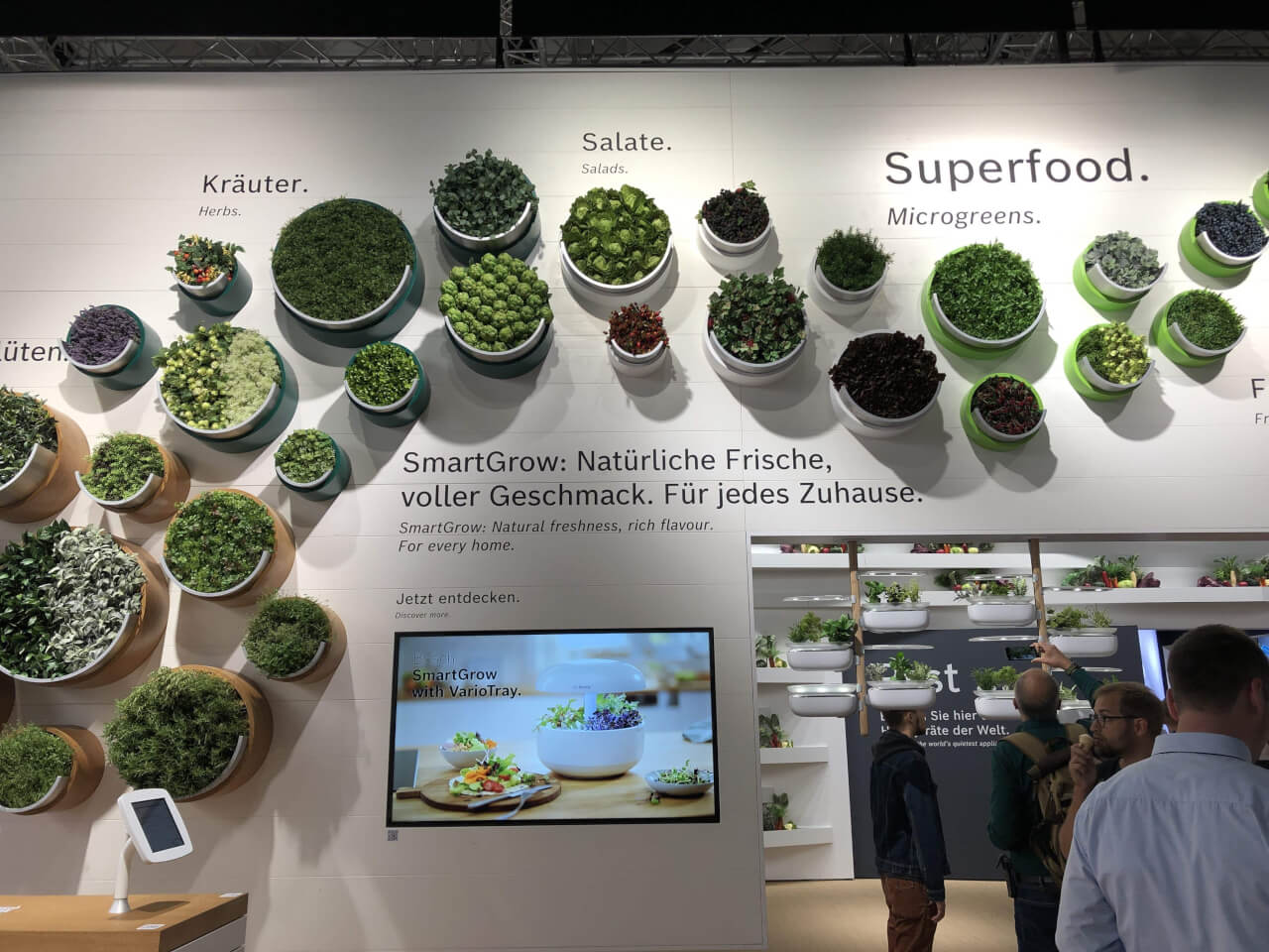 IFA2019