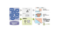 日立、新開発AIを活用して医薬品の効果に影響を与える重要因子を探索するサービスを提供開始
