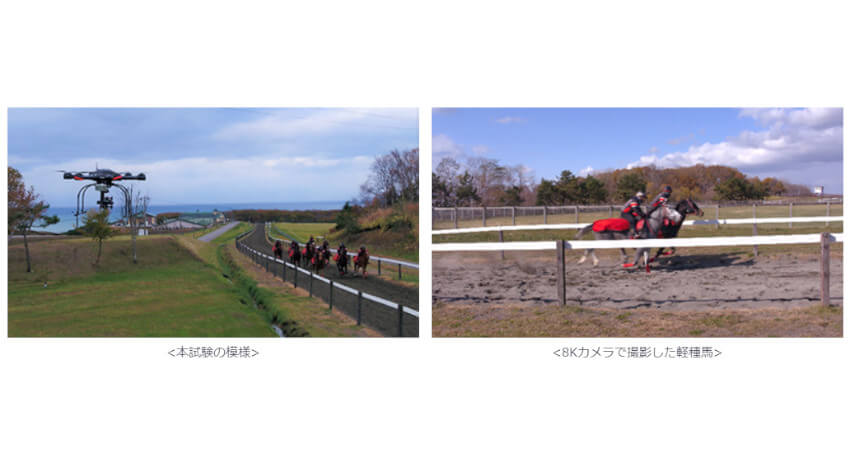 ATR・KDDI・シャープ・東京大学など、5Gと8Kライブ映像を活用して軽種馬の育成支援に向けた実証試験を実施