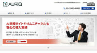 オーリック・システムズ・ジャパン、数十億件のデータをリアルタイム処理可能な「PivotBillions」サブスクリプションライセンスを提供開始