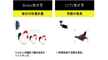 NTT東日本とKNEX、AIによる食肉用鶏の体重自動検知と死鶏検知の開発検証を実施