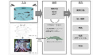北海道大学とソフトバンク、AI・IoTを活用したチョウザメのスマート養殖共同研究プロジェクトを開始
