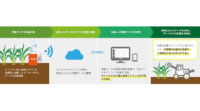 システムフォレスト、IoTでサトウキビ畑の雨量を可視化し最適な収穫タイミングを予測