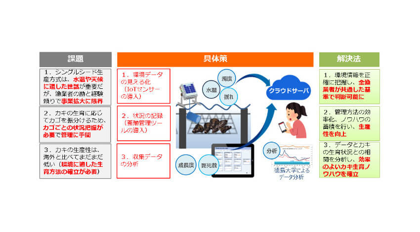 KDDIなど、IoT活用のカキ養殖事業を徳島県海陽町で開始