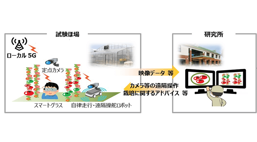 NTT東日本・東京都農林水産振興財団・NTTアグリテクノロジー、ローカル5Gを活用した農業の実装に向けた連携協定を締結