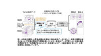 東芝、少量多品種の半導体製造で発生する不良を早期に発見するAI技術を開発
