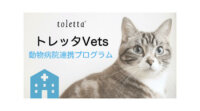 トレッタキャッツ、スマートねこトイレ「toletta」を活用した全国の動物病院向け連携プログラムを提供開始