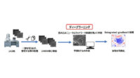 花王と奈良先端科学技術大学院大学、ディープラーニング技術を用いた新素材開発手法を開発